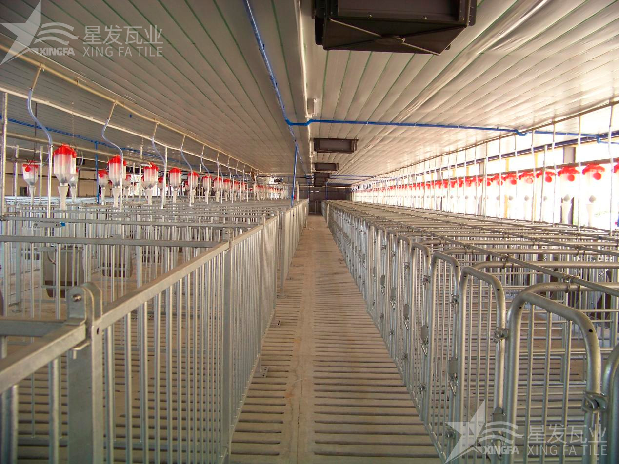 炎炎夏日即將來臨，為什么養(yǎng)殖場越來越多地選擇PVC瓦？