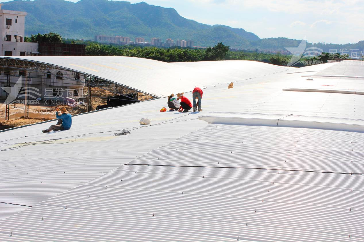 樹(shù)脂瓦漏水？不要慌，這些方法能夠快速解決問(wèn)題！